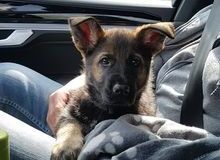 2021-05-31_21_57_2810