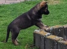 2021-05-31_21_57_287