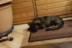 2021-05-31_21_57_288