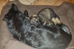 56675151_1474521202684308_3288635494811828224_n