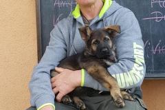 57096969_1474521022684326_6618231890862145536_n