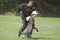 Pruefung08.07.2023Unnau-480